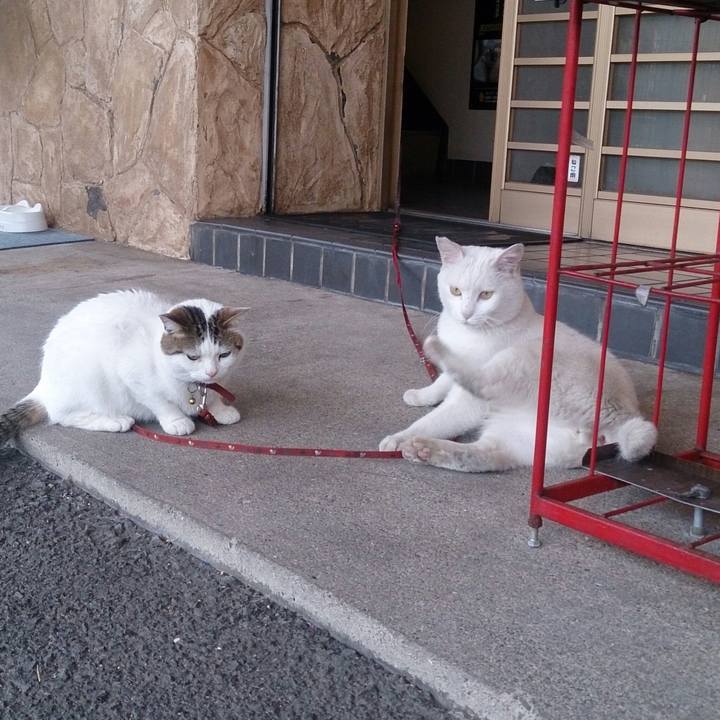 F9e08684 0478 49fa a460 d0e42b86a2b5