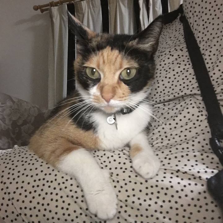 F9e0b038 acd3 4df7 bb58 4598842badea