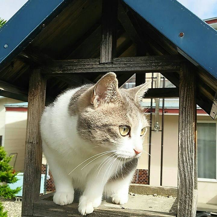 F9e0c9db 592b 40b3 b33b d93fe441bc98