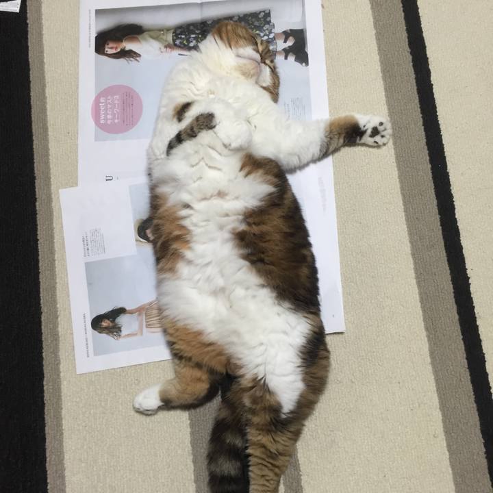 F9e0f279 e05b 4e12 ad3b 6acee3b4a931