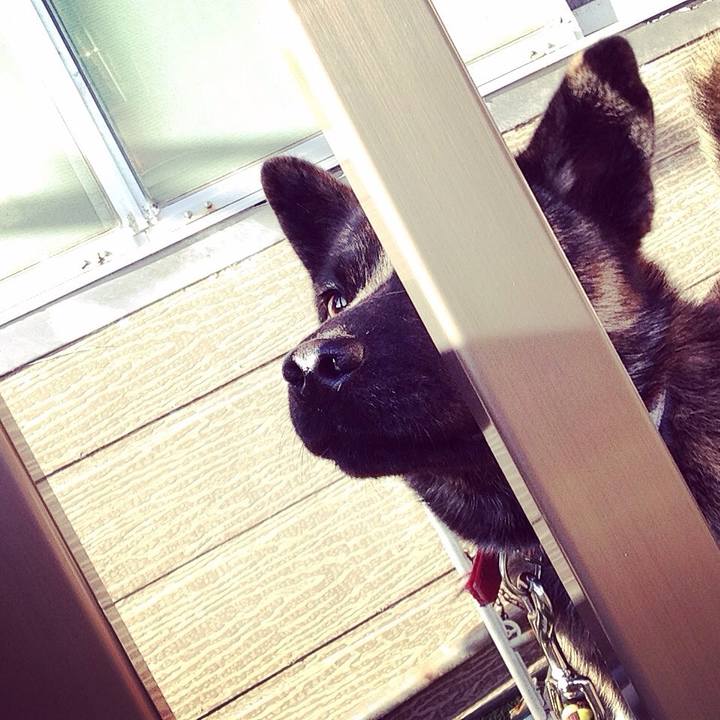 F9e13ca4 ffbd 4238 91fa 3d092c88769f