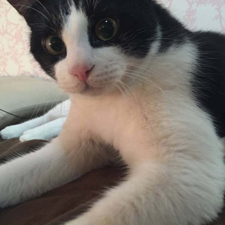 F9e15d1e f660 4252 9a36 7a4d3558be07