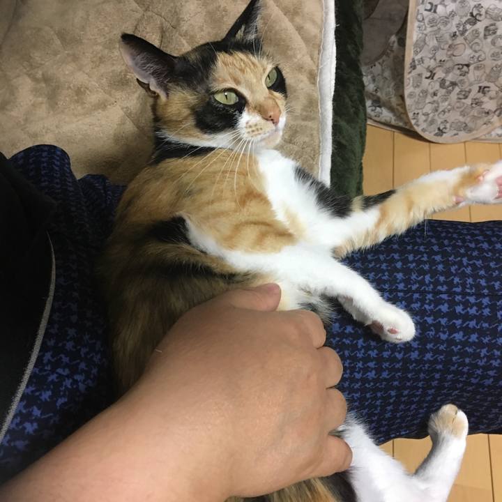 F9e16fbc ec75 4ae2 93d5 278c69f1f59c