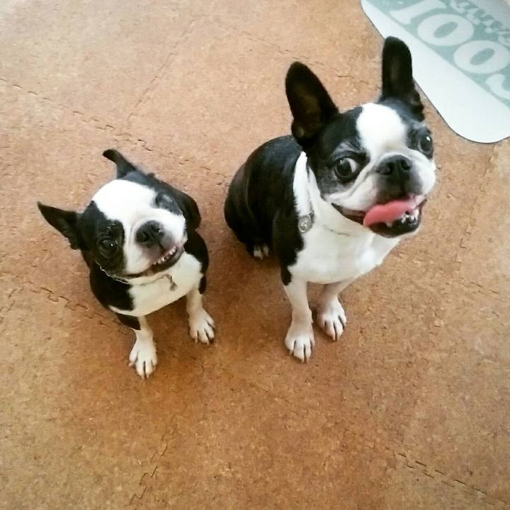 F9e17732 fe90 4a02 88cf 3d7505ed2a08