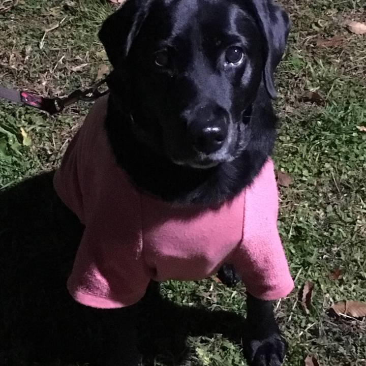 F9e1e92d c2e9 4ac9 81fc 15b959de236d