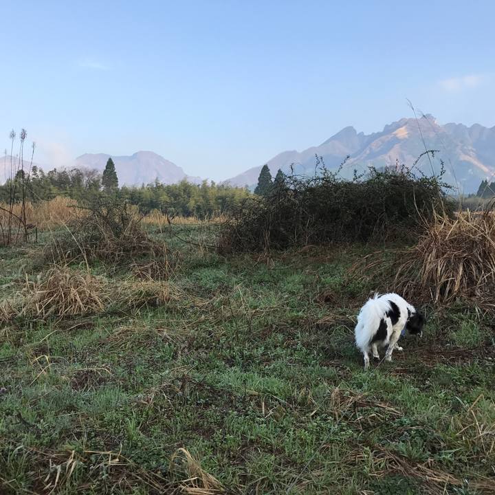 F9e31639 6a72 4a7b 9e54 201ce6cbd4d1