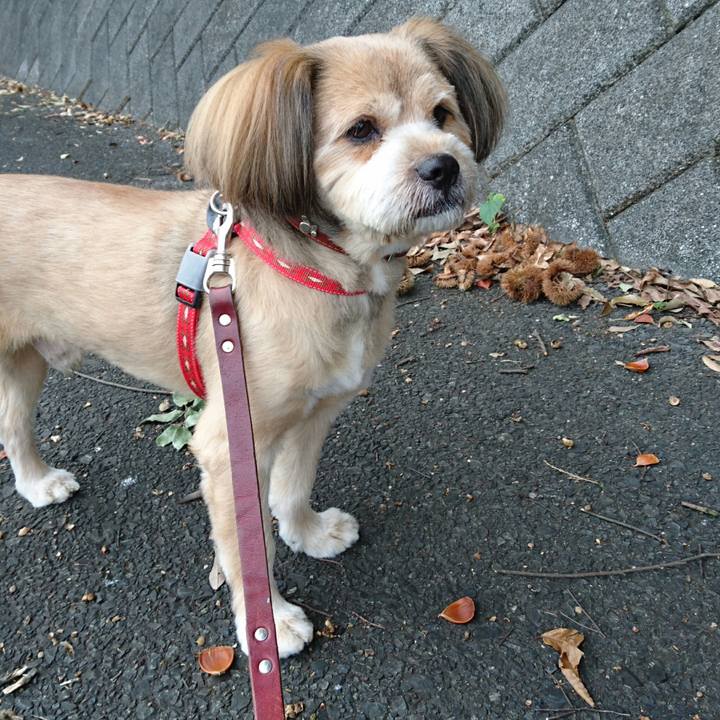 F9e37f26 b072 4ba3 8b83 a9a10f762d3c