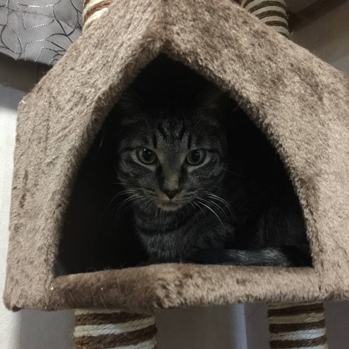 F9e452aa 0382 4822 af57 0563335e7403