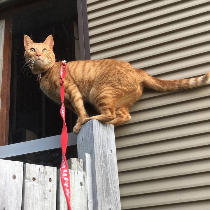 F9e467e7 7ac0 4929 917f 95a0bd40d40f