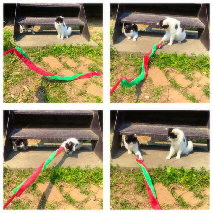 F9e550dc 8d6e 4ef8 8c4d 2724f5563f04