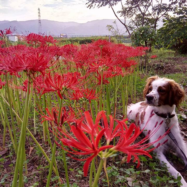 F9e59225 5e6c 48c9 95c8 88b1bedd5d1a