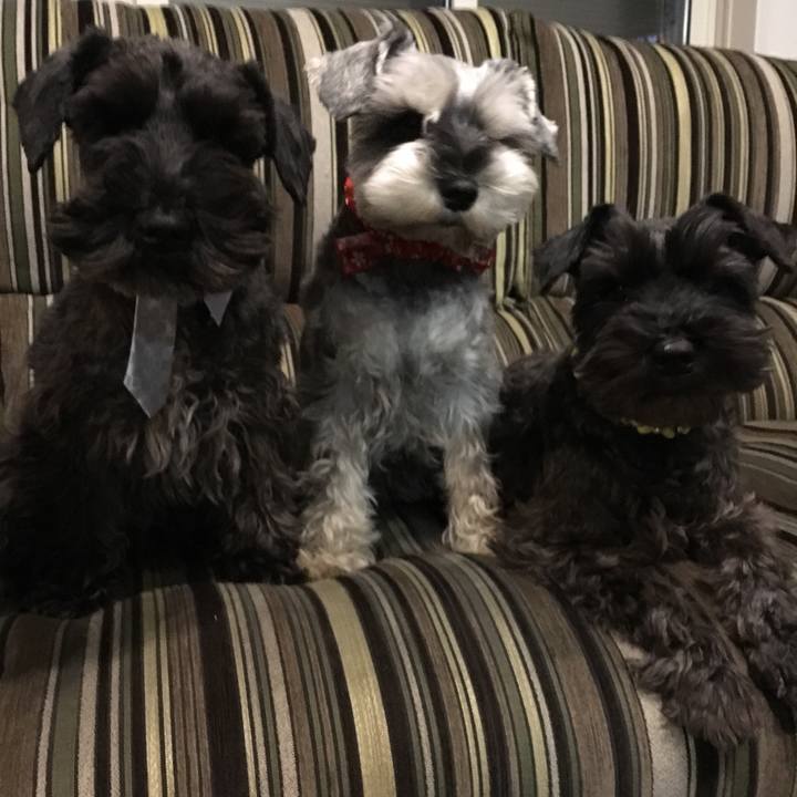 F9e61bd5 8205 4fd9 9713 a701fd825710