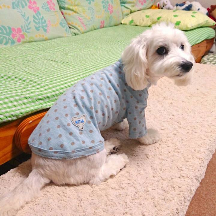 F9e68d5e 74bb 4181 b08e 61623a0fb50a