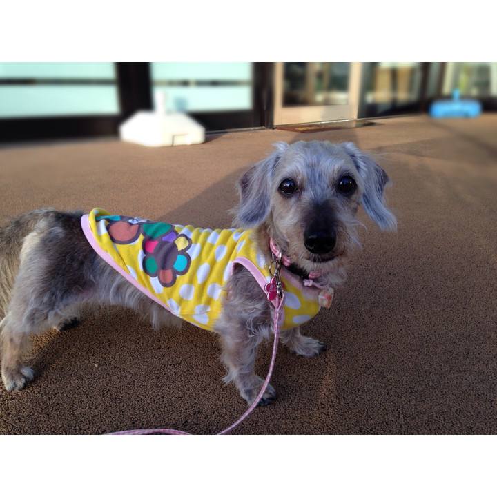 F9e6c0a3 3540 473b 845e c3daaa528271