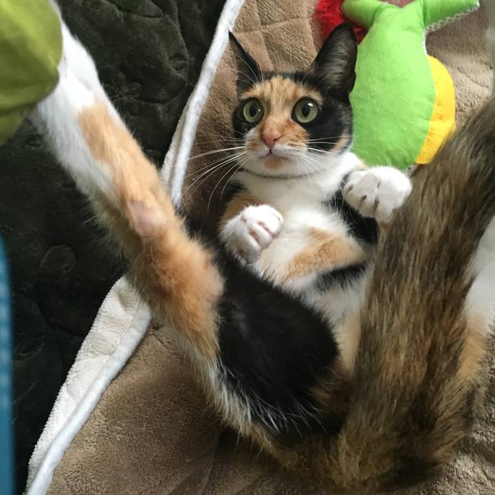 F9e7381f d140 44aa 9777 49e958d361de