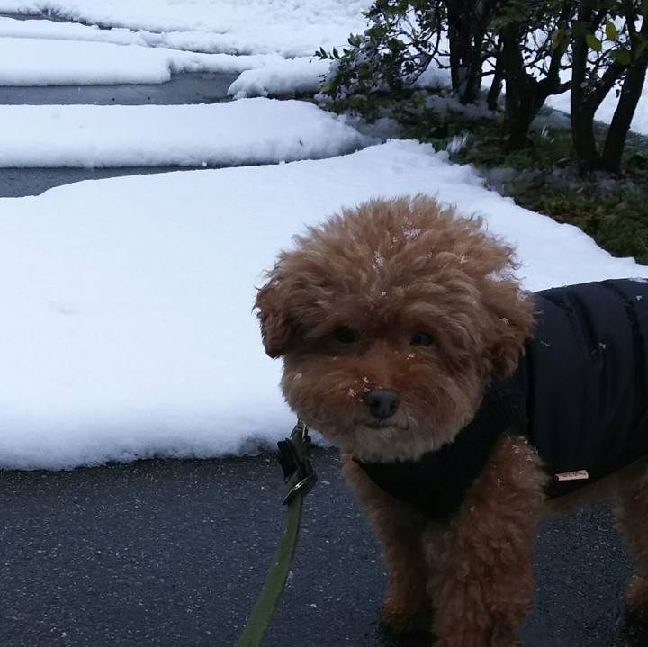 F9e76dd6 90bf 4977 b5e5 1a8b9c338cf4