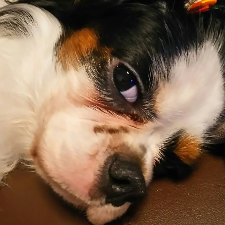 F9e7fb91 a63d 44de 8827 4a0a36c917cd