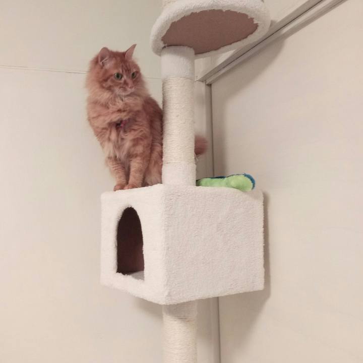 F9e8736b 9ee8 4b06 9e08 8842f92fbae3