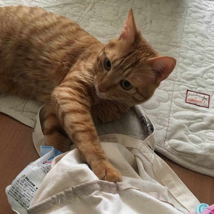 F9e885d8 9848 421d 891d 15bec8e2c118