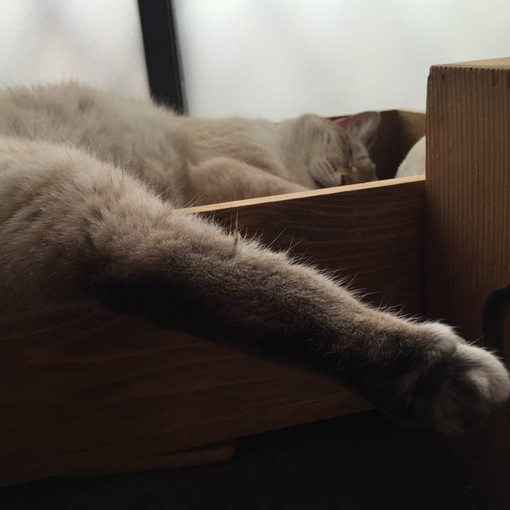 F9ea25aa c60d 483b 9f33 b92d1afa32ea