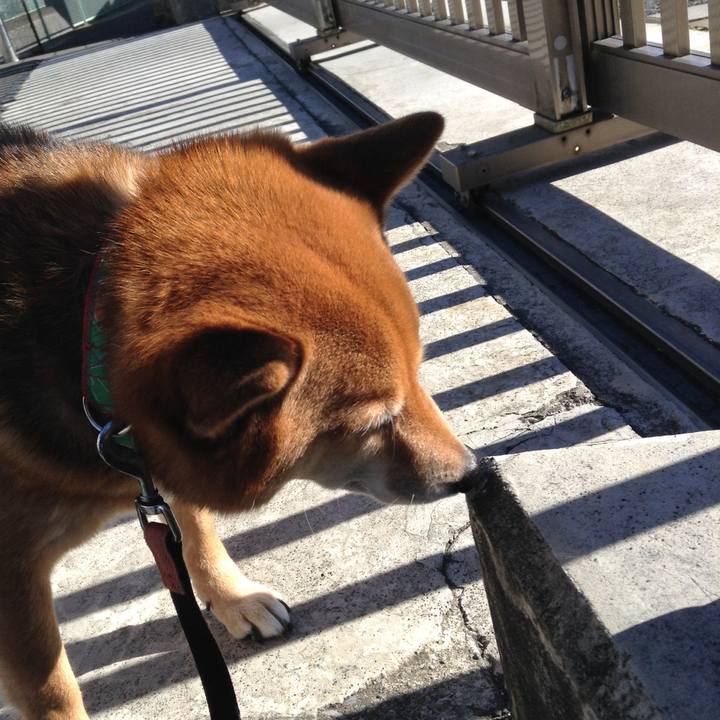 F9eac7cc 5697 48a8 9113 caded1e720f7