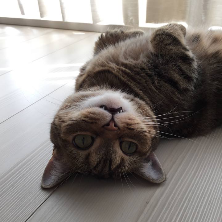 F9eb03ec 7381 4ba3 8530 8ec1902b2354