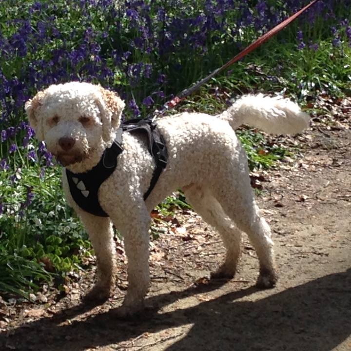 F9eb1a00 ff9e 4304 83c6 654bcbb29b98