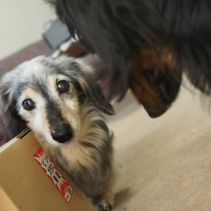 F9eba94f eb9d 432d b3b7 6d2190d9fc3c