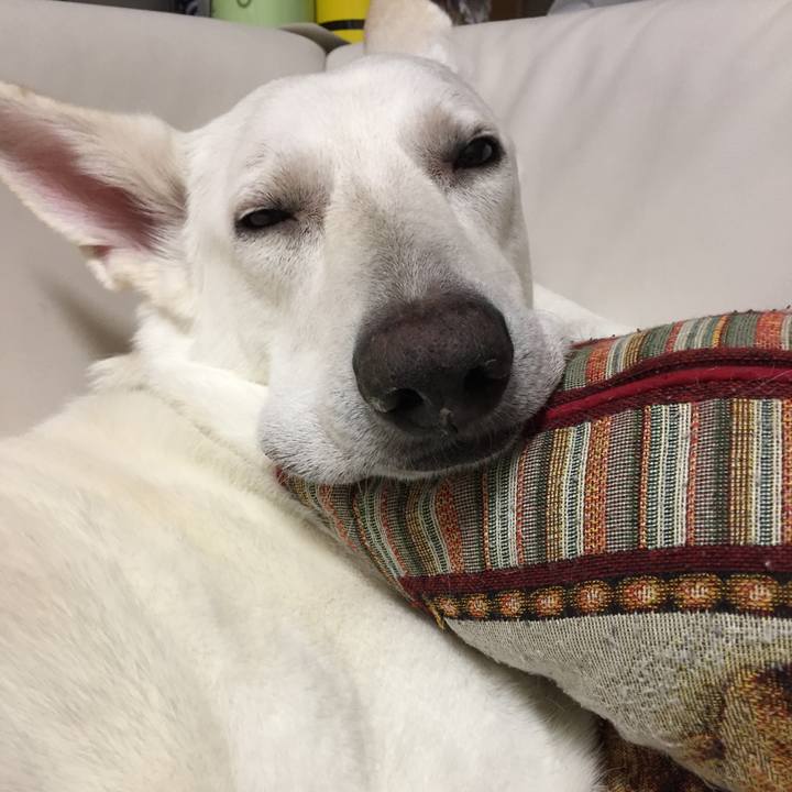 F9ebc825 b512 4026 990f 47257522905a