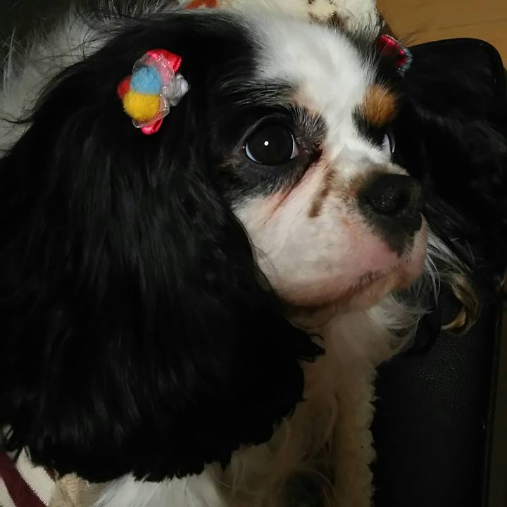 F9ec5e58 1b99 490b bdf0 ca76244a1c43