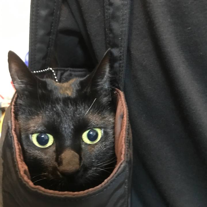 F9ec79ea 8988 4bb3 81be d421c023f0cd