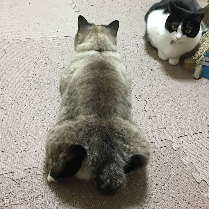 F9ecad46 a9b2 4a6e a278 c8c9a2425a0a