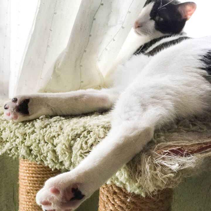 F9edab11 b4c5 4fb9 b48c d5e2f6dbffe2