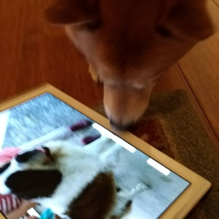 F9edad24 5cc6 4a94 b8b3 769f44684cac