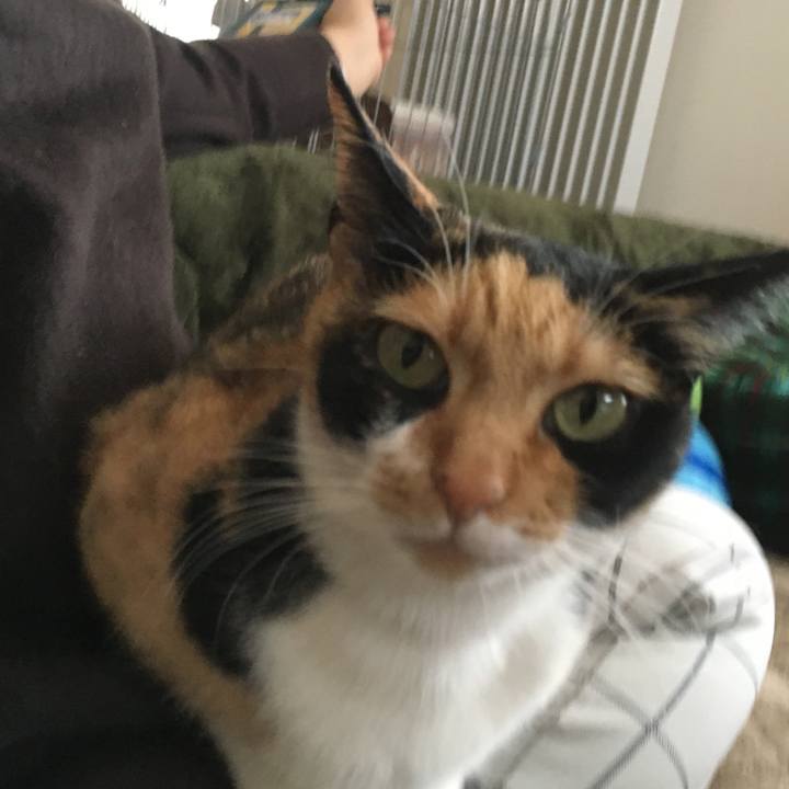 F9ee5b5a 63a1 4fb7 8062 0bf5d183b425