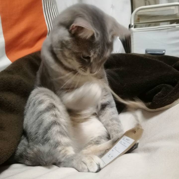 F9eea217 d21e 4902 8d6e 2cf574089f83