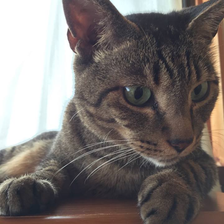 F9f06644 863d 4f3f 8ab3 70e40b1058a8