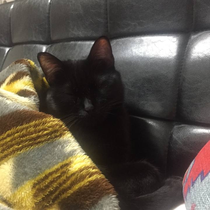 F9f19ed4 6111 4ce3 8ef1 278c331bfaaa