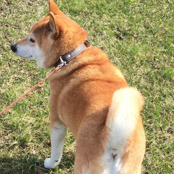 F9f1baad 4e3a 4cb4 8024 c64bae6db55c