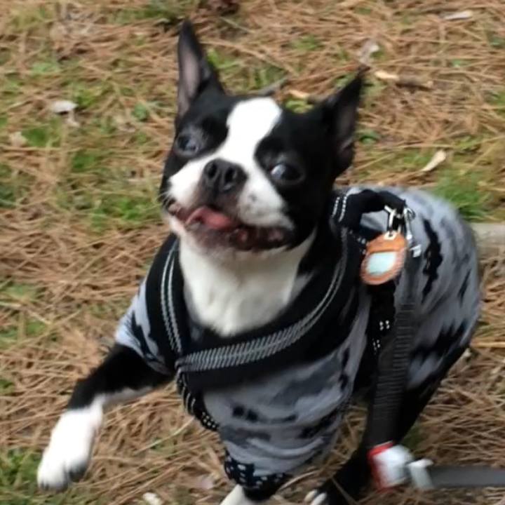 F9f1e93f 9308 4b97 b8fb 63e40ba83b81