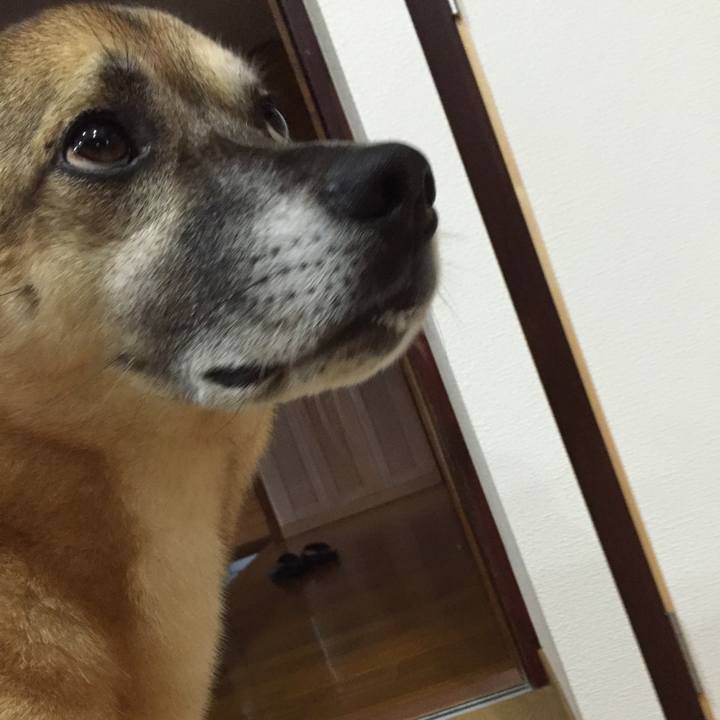 F9f218d3 12ac 493a 96bf eba9ca17d6a4