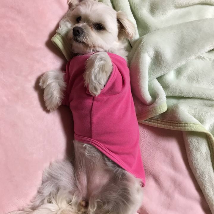 F9f23c37 7bf9 49fe b7e2 68757e3ab083