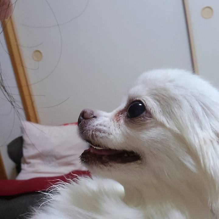 F9f23e87 db0e 485b bb3c 099f36eb1a53