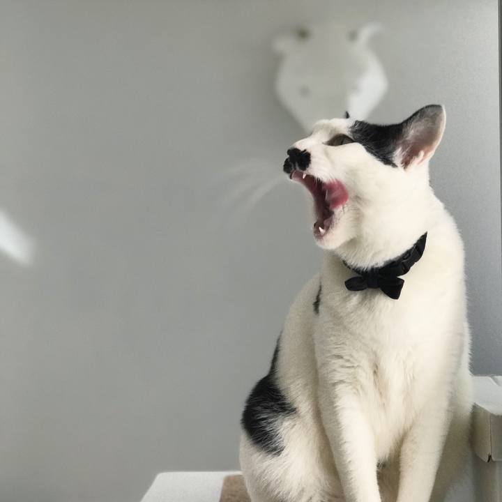 F9f29629 b57a 4c11 bac4 08cf65cf01ba