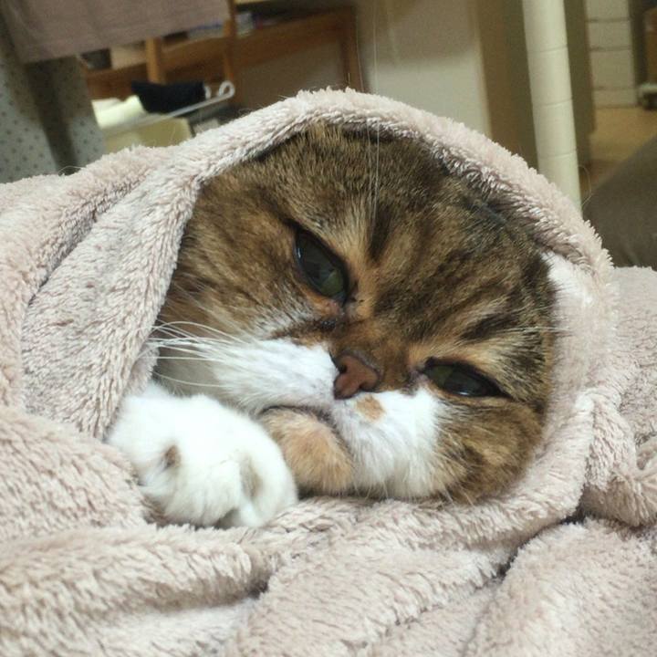 F9f2abbf 2055 468b ba3e 407589eec8ad