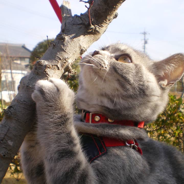 F9f2b043 1894 480b 9cac 675e4a326a5d