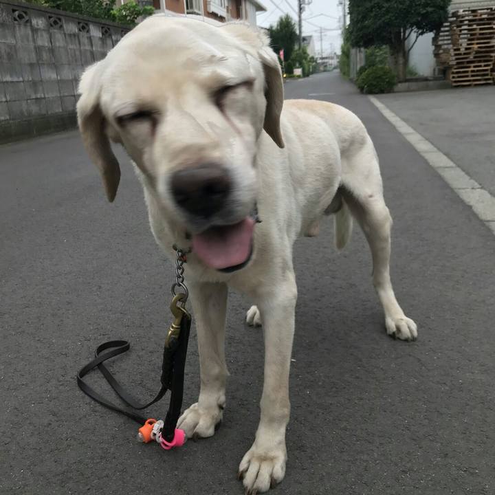 F9f2c78e d784 448b 9d37 0d4fe37eddb1