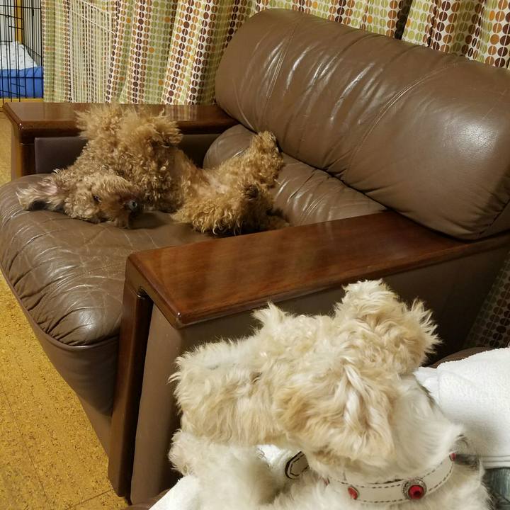 F9f2d747 ba1d 4da2 a5e0 7f6527ffc0af