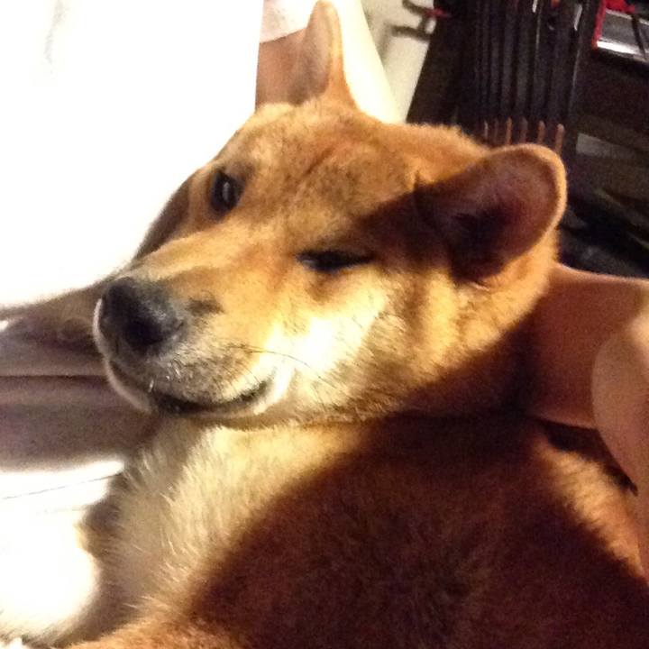 F9f3132f bd40 4efd a53b a4ae2a8fe6db