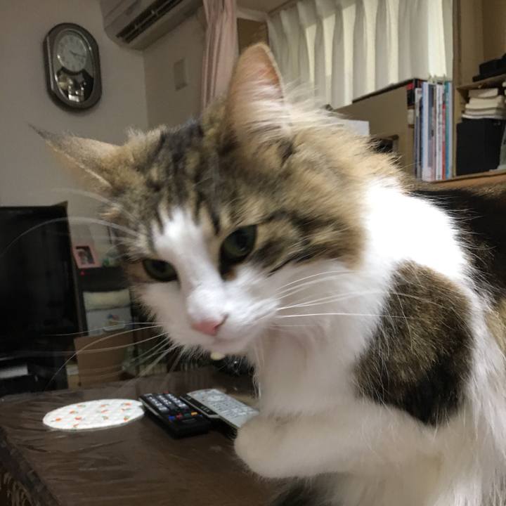 F9f380d6 6099 4dd5 9450 1f7c28ae7828